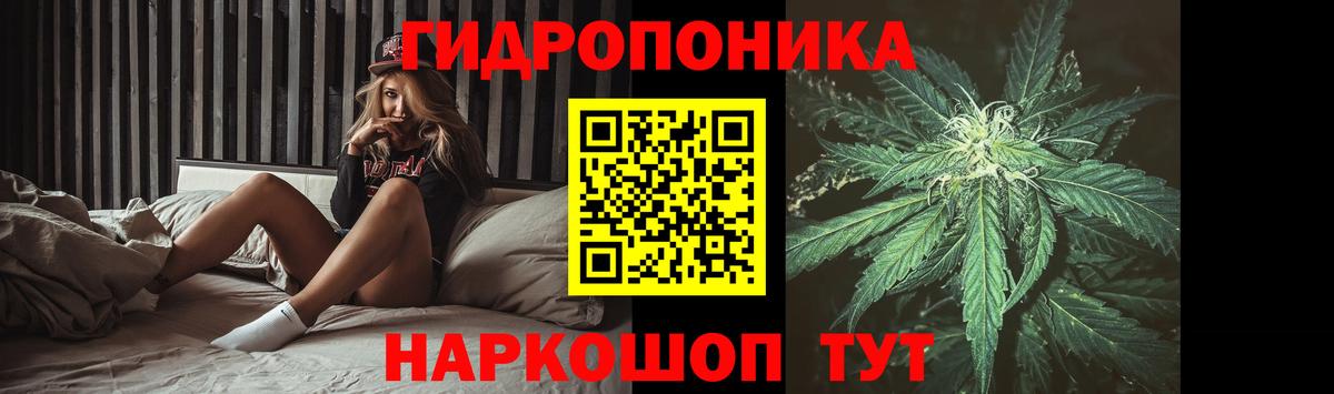 Канабис OG Kush  Вход с VPN  Камень-на-Оби  Канабис ГИДРОПОН  Бошки марихуана White Widow 